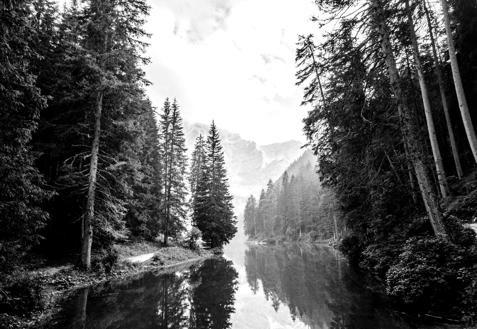 Mein Foto